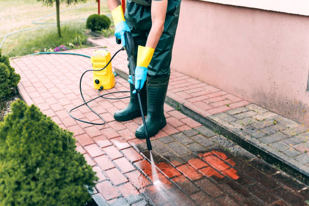 Best Parking Lot and Garage Cleaning  in Palm Harbor, FL