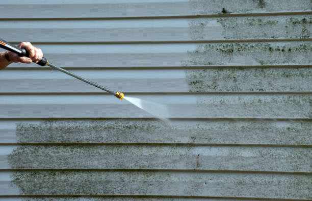 Best Dumpster Area Cleaning  in Palm Harbor, FL