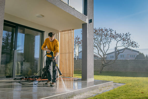 Best Rust Removal  in Palm Harbor, FL