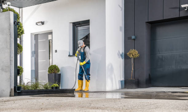 Best Fleet Vehicle Washing  in Palm Harbor, FL